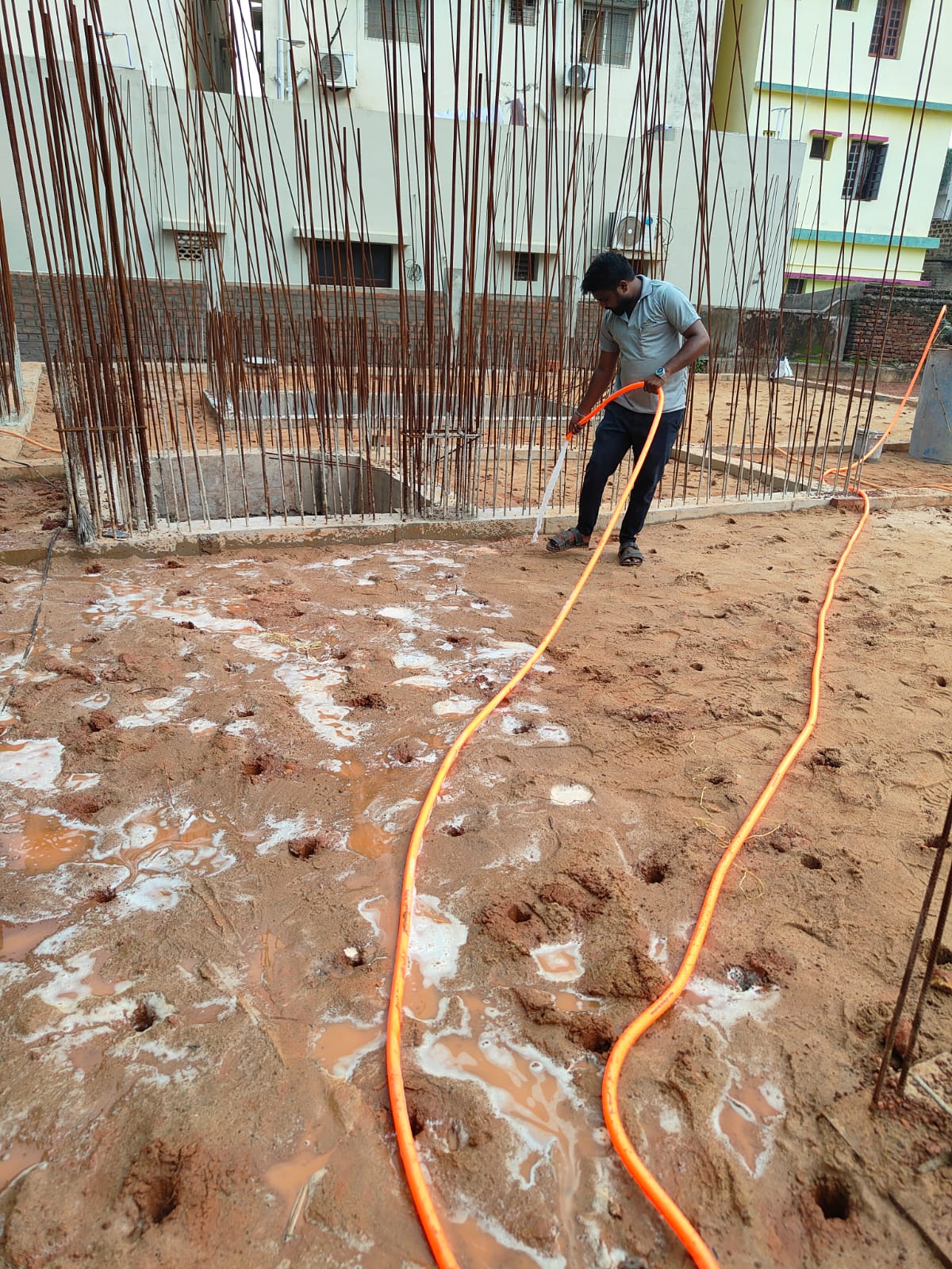 AD Pest Control Treatment 12